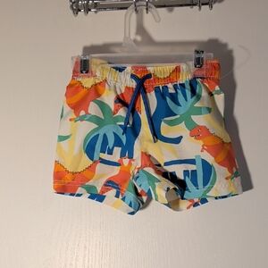 Toddler Swim Trunks with Colorful Dino Print